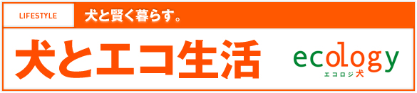 犬と賢く暮らす 犬とエコ生活