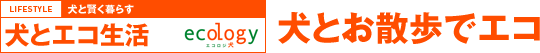 犬と賢く暮らす 犬とエコ生活 犬とお散歩でエコ